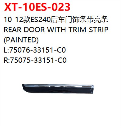 REAR DOOR WITH TRIM STRIP    (PAINTED)