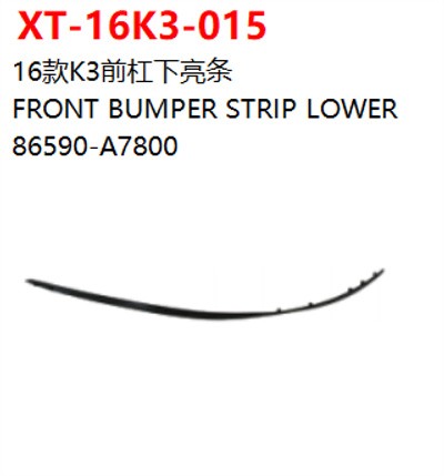 FRONT BUMPER STRIP LOWER