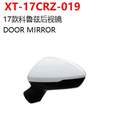 DOOR MIRROR