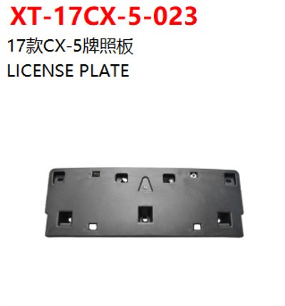 LICENSE PLATE