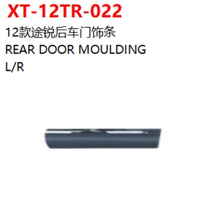 REAR DOOR MOULDING